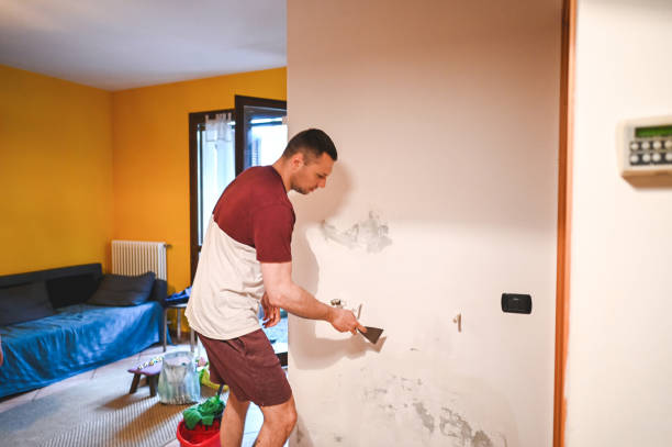 Home Mold Removal in Fort Walton Beach, FL